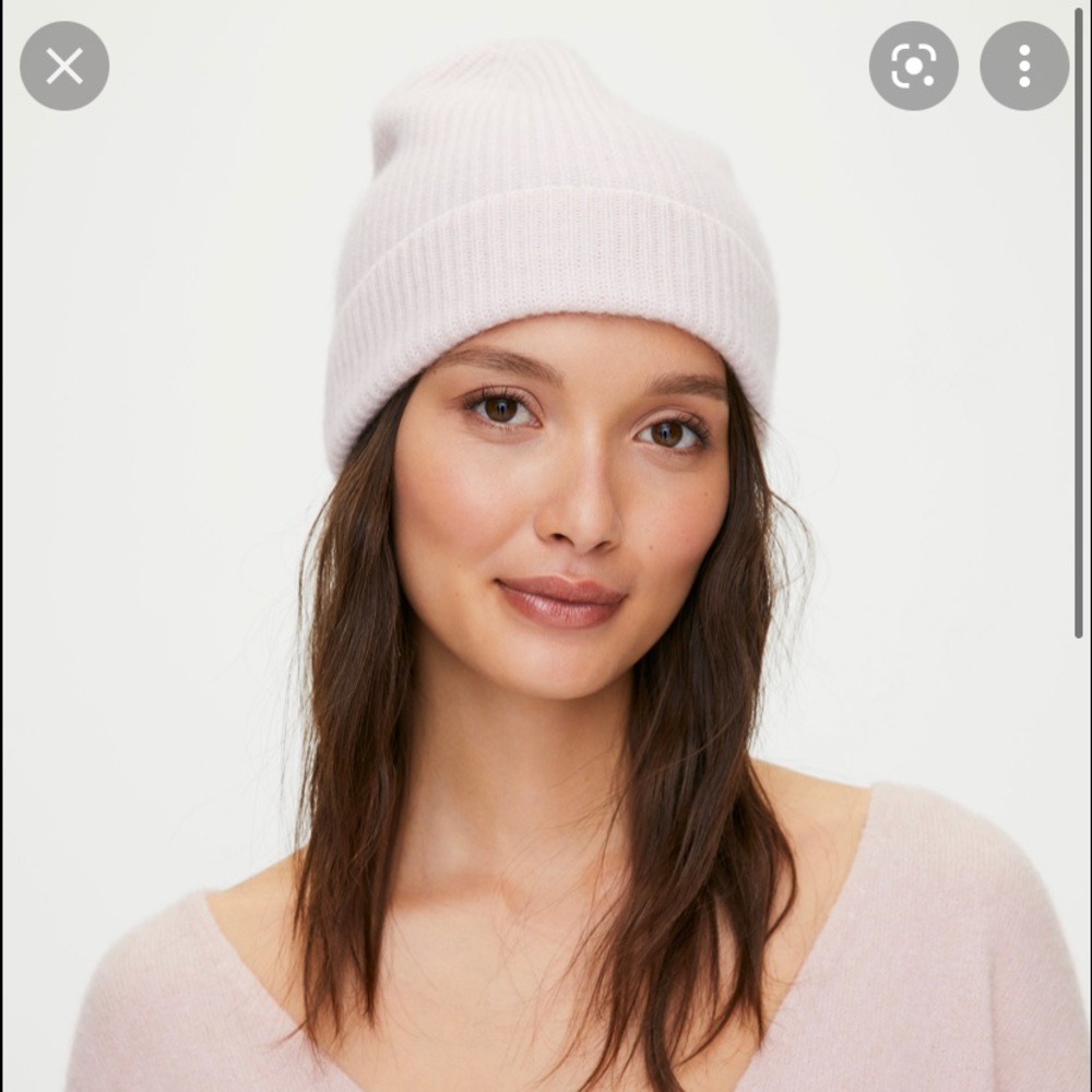 Aritzia Beanie
